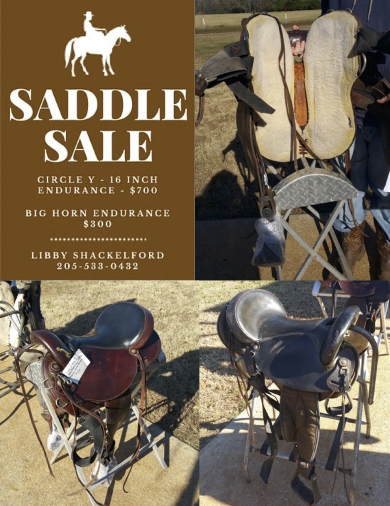 Carouselobreeds.com Saddle Sale Flyer