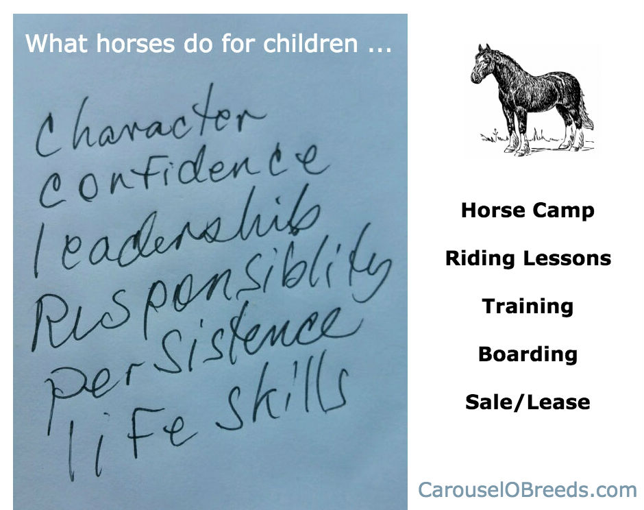 CarouseloBreeds.com Virtues of Horses