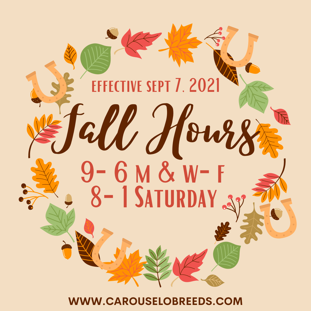 fall-hours-begin-today